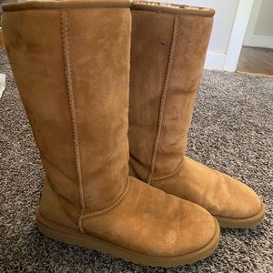 Tall Chestnut Ugg Boots w/ Ugg Sheepskin Care Kit